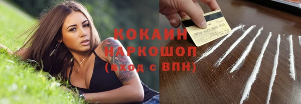 кокс Арсеньев