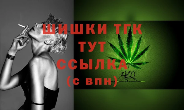 PSILOCYBIN Аркадак