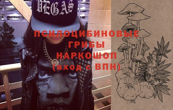 кокс Арсеньев