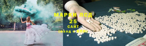 PSILOCYBIN Аркадак